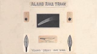 Alamo Race Track - Young Spruce and Wires