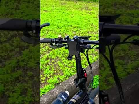 TERN ECLIPSE P20(high speed big folding bike 26”)