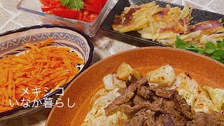 【メキシコ田舎暮らし】海外在住妻の本当に何でもない1日Vlog/カロリーおさえて沢山食べたい