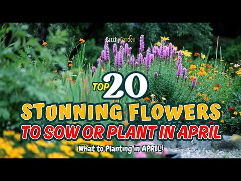 TOP 20 STUNNING FLOWERS you NEED to SOW or PLANT in APRIL! 🌸🌿🌻 // Gardening Ideas
