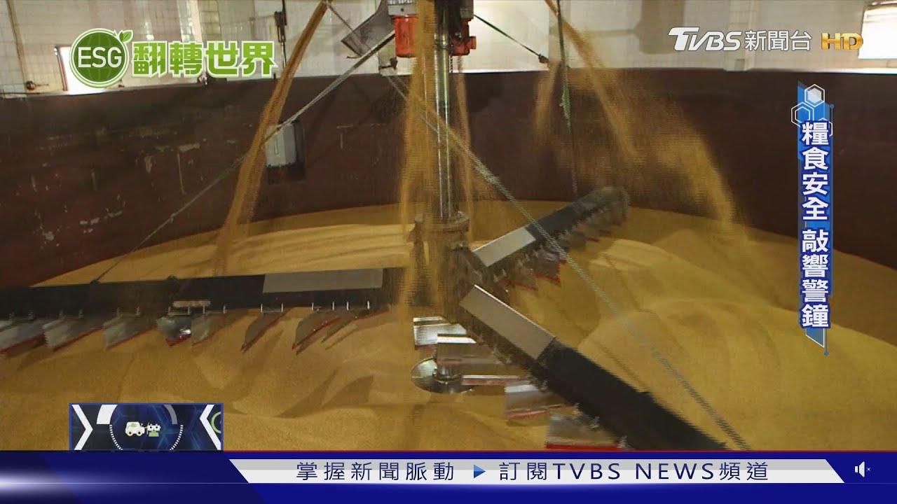 封島軍演、俄烏戰爭威脅糧食安全 台灣雜糧自給率過低成迫切危機