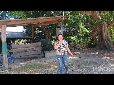 Molienda Los Barahona, Cantón San Luis Arriba, Mercedes la Ceiba, La Paz. 