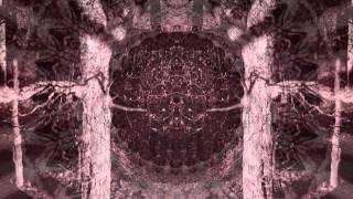 Electric Lash (the church Seance)