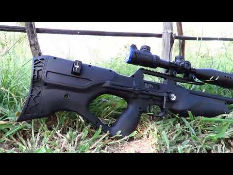 Walther Reign 22 *Full Review*