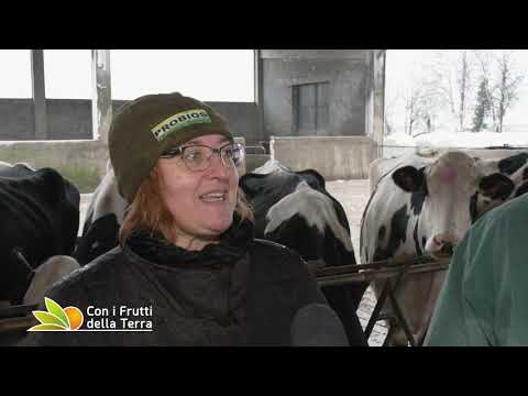 Puntata del 17/1/21 –  1° parte – Nel bresciano solidarietà in stalla