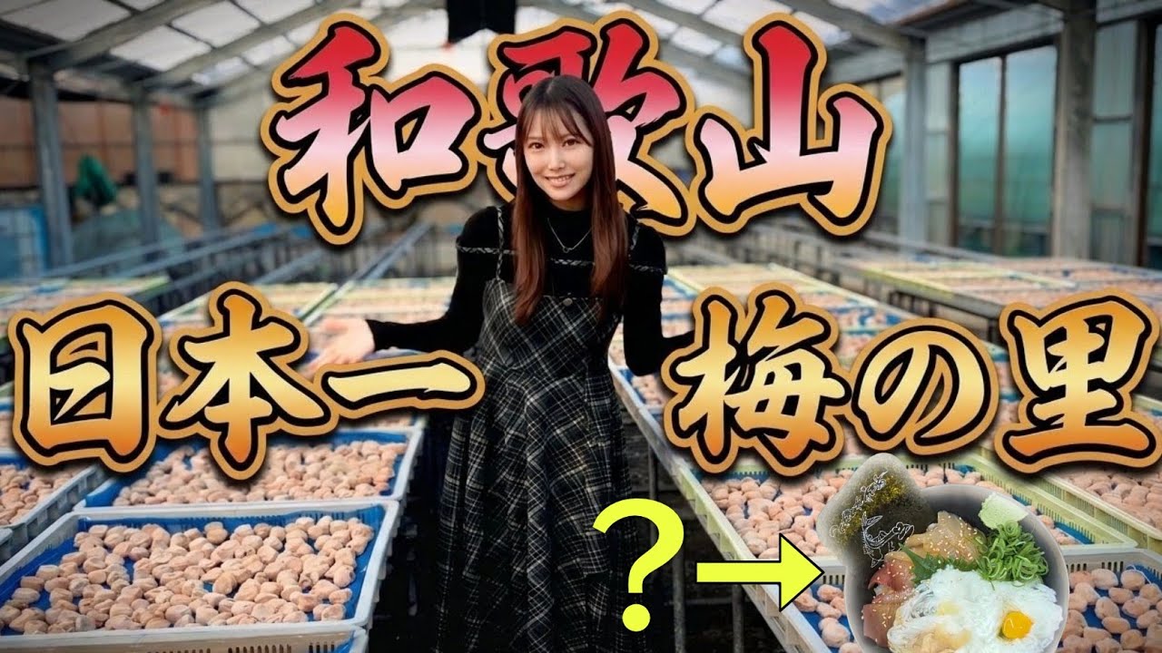 ふわり愛 和歌山県の旅  カタタ丼とは？ ~白間美瑠篇~