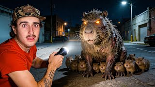Download lagu I Found 13 Capybara Babies Overnight… mp3