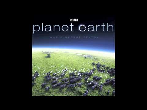 Planet Earth Soundtrack - Fledglings