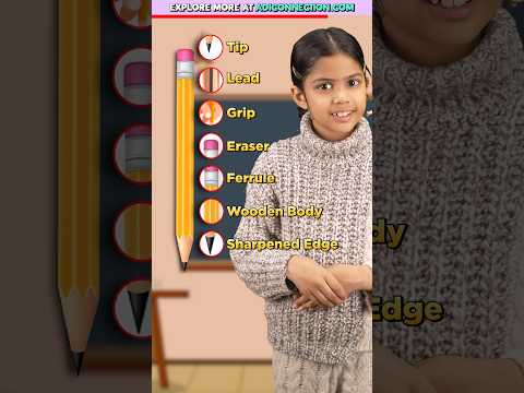 8 Parts of a Pencil ✏️ for Kids, Learn English Words, English Adi Connection #shorts