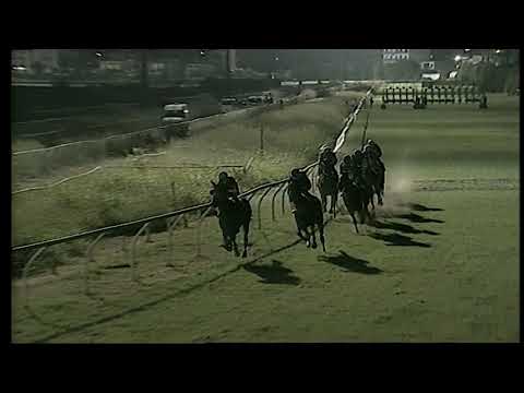 Napoli Galoppo 20/08/2021 - 4ª corsa