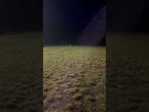 Wolf Attack from the Dark ! #alaska