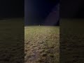 Wolf Attack From The Dark Alaska