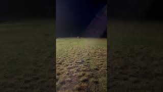 Download lagu Wolf Attack from the Dark ! #alaska mp3