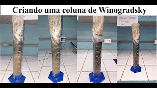 Criando uma coluna de Sinogradsky