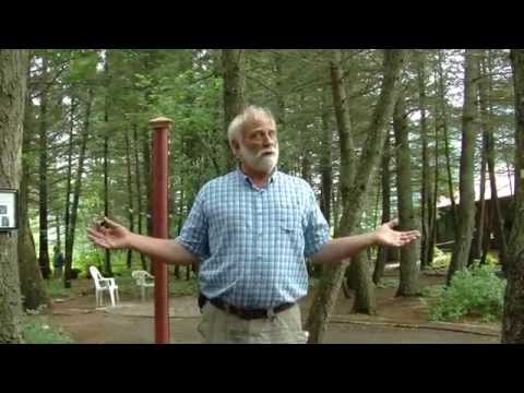 Portal To The Vortex - The Montana Vortex