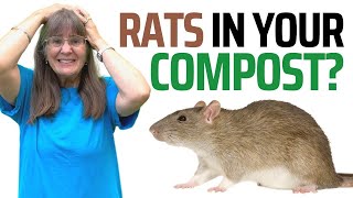 RATS! 8 Top Tips to Keep Rats Out of Your Compost
