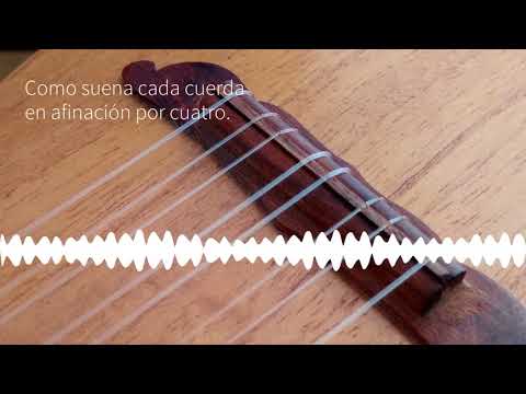 Como suena la Afinación por cuatro para jarana con afinador