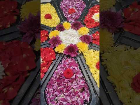 use and beauty of flowers 💐🌹#nature #garden #flowers 🌸