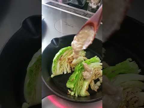 白キャベツ 植物