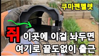 쥐 퇴치! 이거! 패트병에 넣으면 모든쥐는 전멸! 됩니다~ #쥐퇴치 #쥐약 #쥐트랩만들기 #쥐가좋아하는약