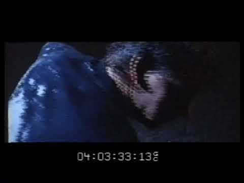 Idiot Box (Matt Whyte s3685875)