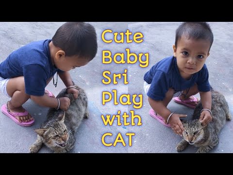 My cute Doll Sri playing with 🐈 Cat #Srinkianegi