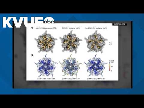 AI-designed viruses raise promise and risks