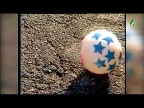 LABDOČKA - Ahneta TIMKO