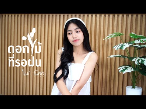 THE TOYS x NONT TANONT - ดอกไม้ที่รอฝน (spring) ไข่มุก ชนัญญา [Cover]