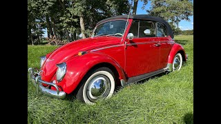 1965 Volkswagen kever cabrio oldtimer te koop