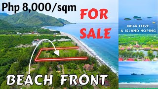 LFS 100 | TITLED Beachfront land for sale in the Philippines 2024