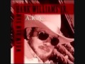 Hank Williams Jr - It Makes a Good Story