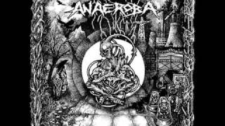 Anaeroba - Worldmachine -