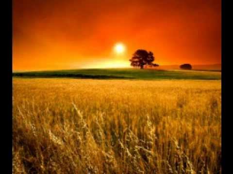 Toma Zdravkovic - Za Ljiljanu