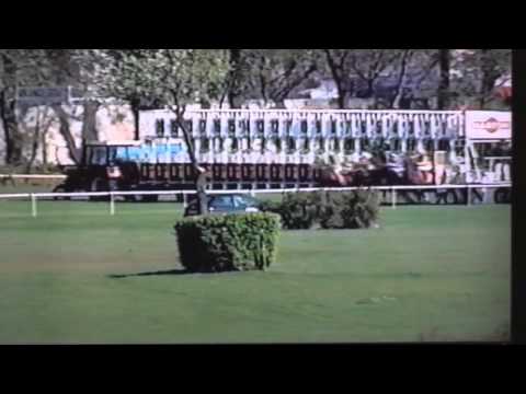 Nagroda Strzegomia - 4.05.2003 - Domart (Baby Bid - Dominet)