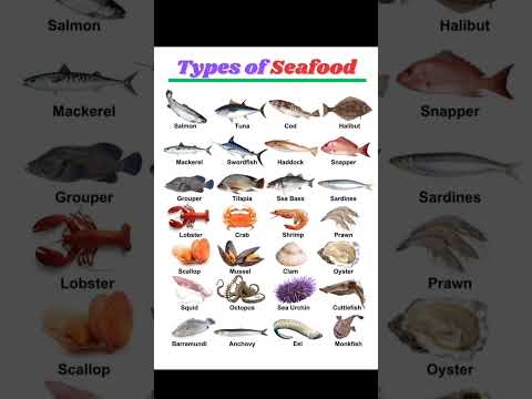 \Types of Seafood: A Complete Guide to Popular & Healthy Seafood Options\