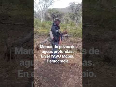en el Mcpio Democracia estado FALCÓN Venezuela