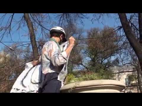 Curaj.TV - Agresat la o contramanifestaţie solitară