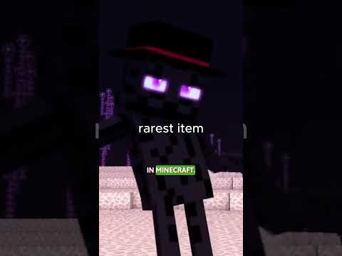 The Most Insane Rare Item in Minecraft Revealed!