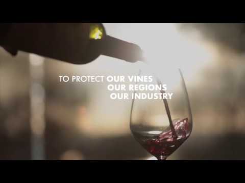 Vinehealth Australia