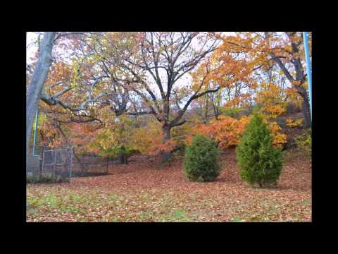 Savin Hill Over the Bridge