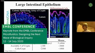 Keynote lecture: Designing Life Chips for Biomedical Research and Clinical Applications
