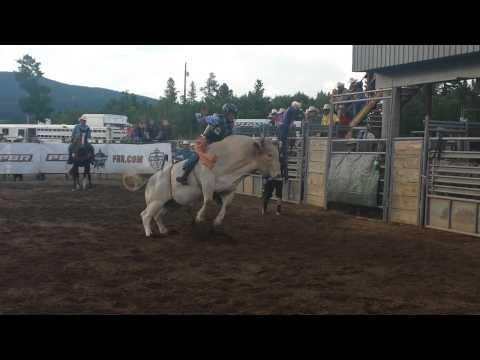 011 Kung Fu Fighter • 7-7-14 • Black Hawk CO ABBI