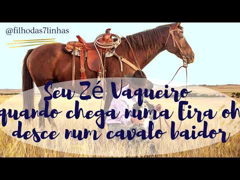 Ponto de Boiadeiro - Seu Zé Vaqueiro