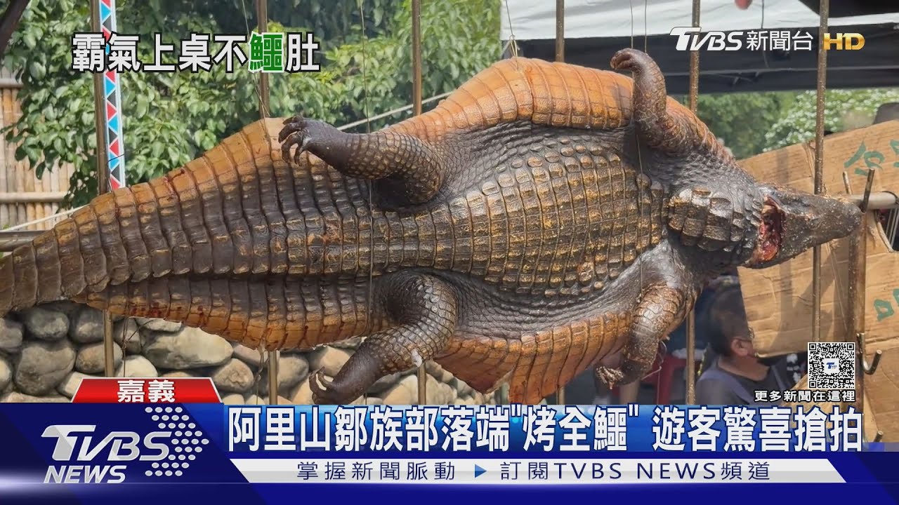 驚見大火爐「烤全鱷」!遊客搶拍打卡 現烤現吃口感曝光
