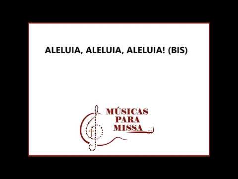 ALELUIA - MINHAS OVELHAS ESCUTAM MINHA VOZ (Músicas para Missa) - CATÓLICA