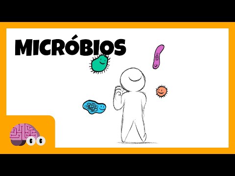 Micróbios afetam a mente?