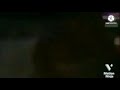 569 Movie Studio Intros At Once