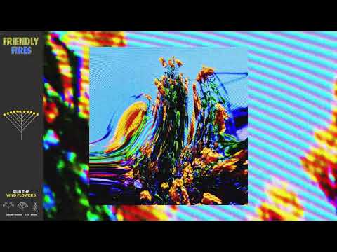 Friendly Fires - Run The Wild Flowers (Visualiser)