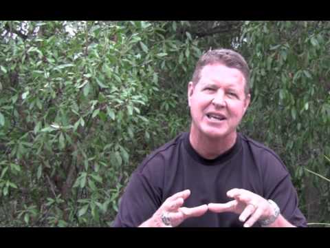 Dave Austin - "Sweet Surrender"